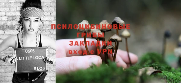 мет Арсеньев