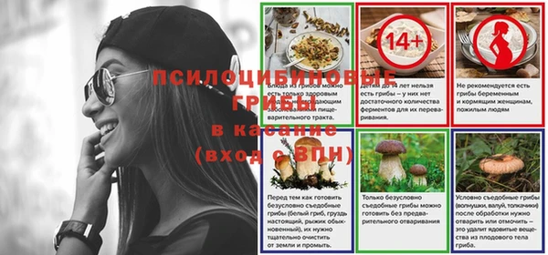 мет Арсеньев