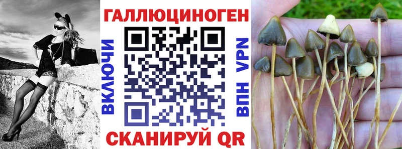Галлюциногенные грибы прущие грибы  где найти   Бор 